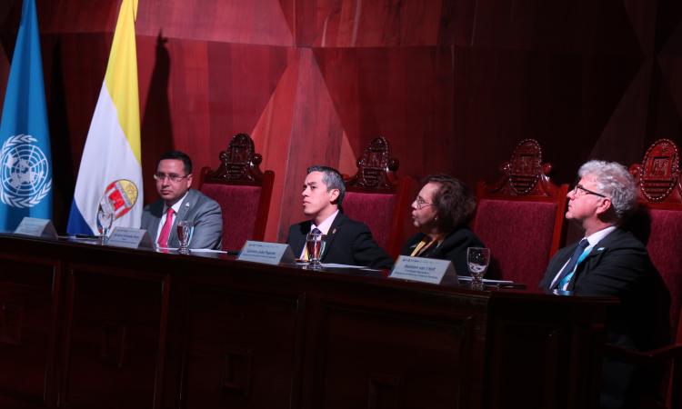 Imagen 13